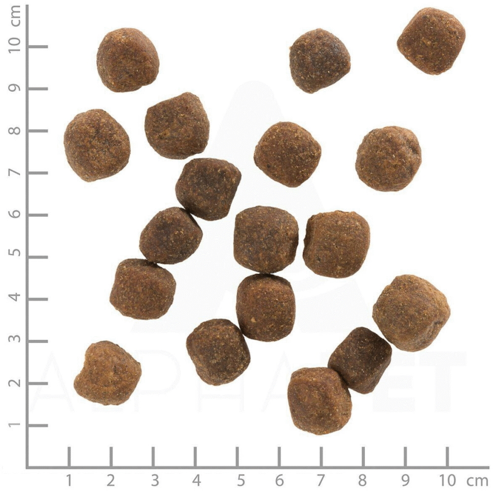 Wolfsblut Adult Wild Duck Hund Trockenfutter Wild Duck Hund Adult 12,5kg - Image 3